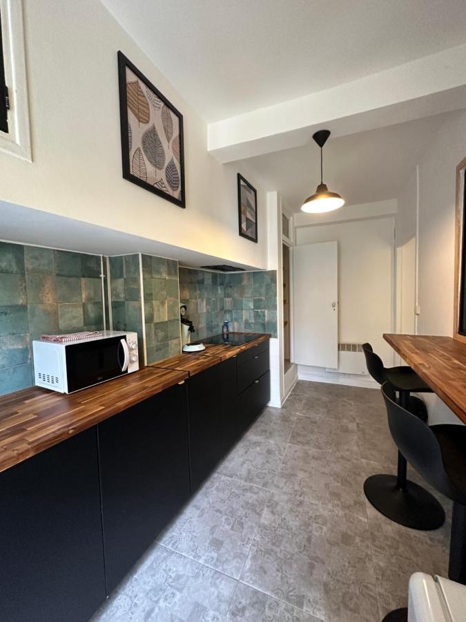 Appartement Minervoise - Gare 卡尔卡松 外观 照片